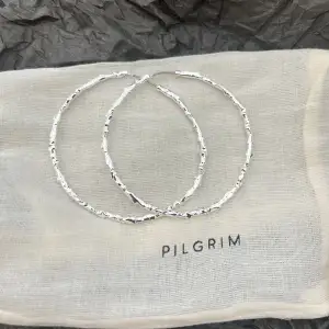 Säljer dessa helt nya örhängen från pilgrim (deras nya vårkollektion ) vet inte om de säljs än ⭐️ Ny pris 399 kr 💕 (Pris kan diskuteras vid snabbt köp )