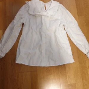 Kawaii skjorta  - Säljer denna jätte söta skjortan!! Aldrig använd!! Bra skick bara lite skrynklig men går att stryka .(Katt och hund i hemmet) 