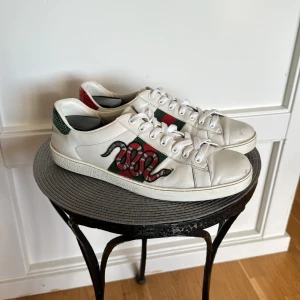 Gucci Ace Snake - Gucci Ace Snake skor✅Använda en del, skick 7/10✅UK 10, motsvarar 44✅ Pris: 1699, endast skor ingår därav priset✅ Tveka inte för att skriva om ni har några funderingar!✅