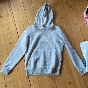 Puma hoodie - Säljer denna gråa puma hoodie i storlek S. Lite använd. Köparen står för frakten.