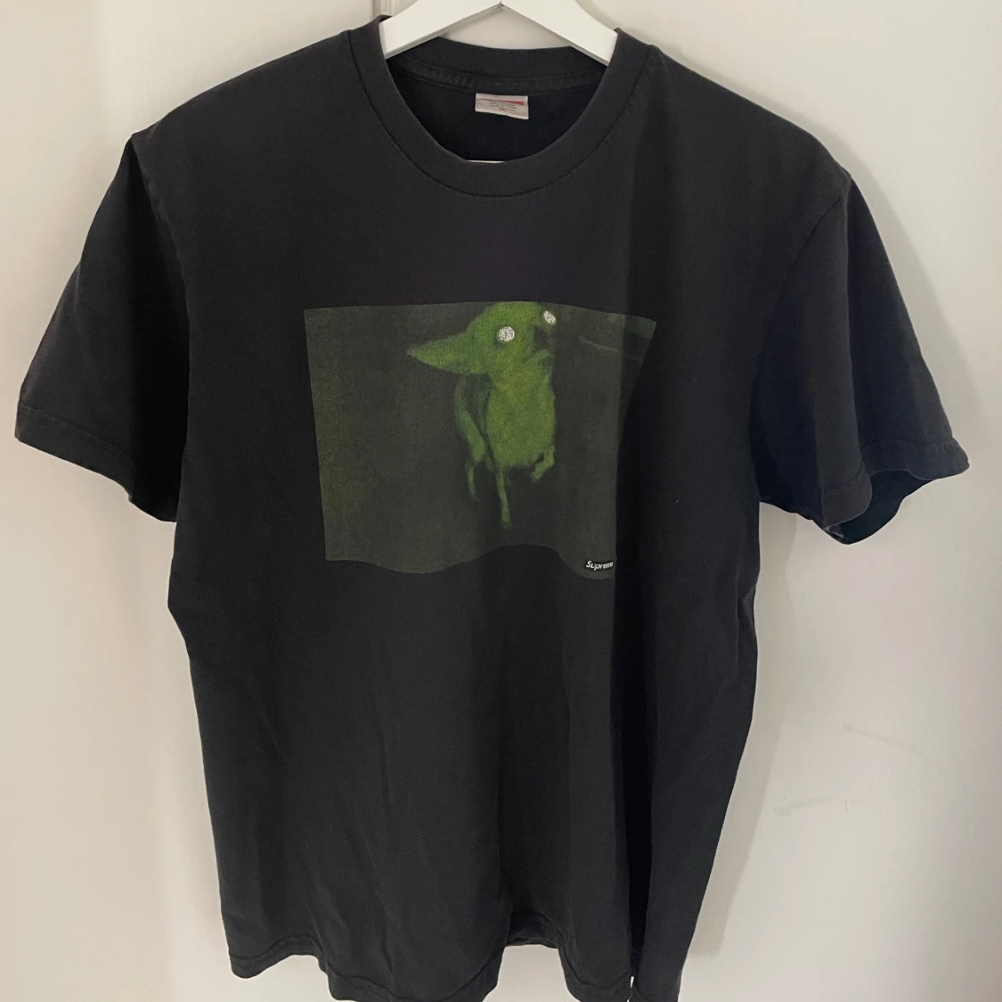 Supreme chihuahua t-shirt