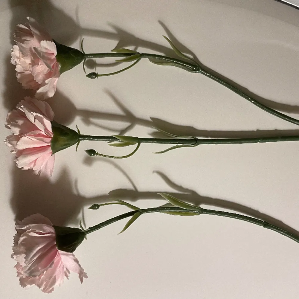 Tre rosa rosor org. Från Ikea. 3för10kr. Övrigt.