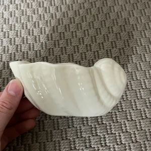 Skål - Snäckskål. Jättefin, väger ingenting, i glas. Jag brukar ha smycken i den men allt funkar