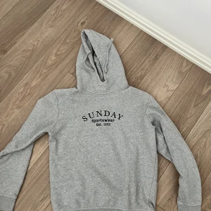 Grå hoodie - Har en svart fläck vid ärmen