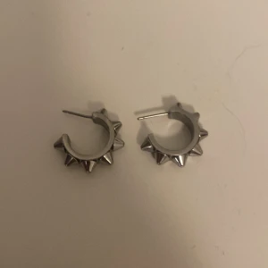 Edblad örhängen  - I fint skick eftersom de inte är använda mer en tio gånger ens. Rengör de såklart innan jag skickar. Säljer eftersom jag inte använder de alls då jag bara använder guldsmycken. Skriv om ni vill köpa!!!