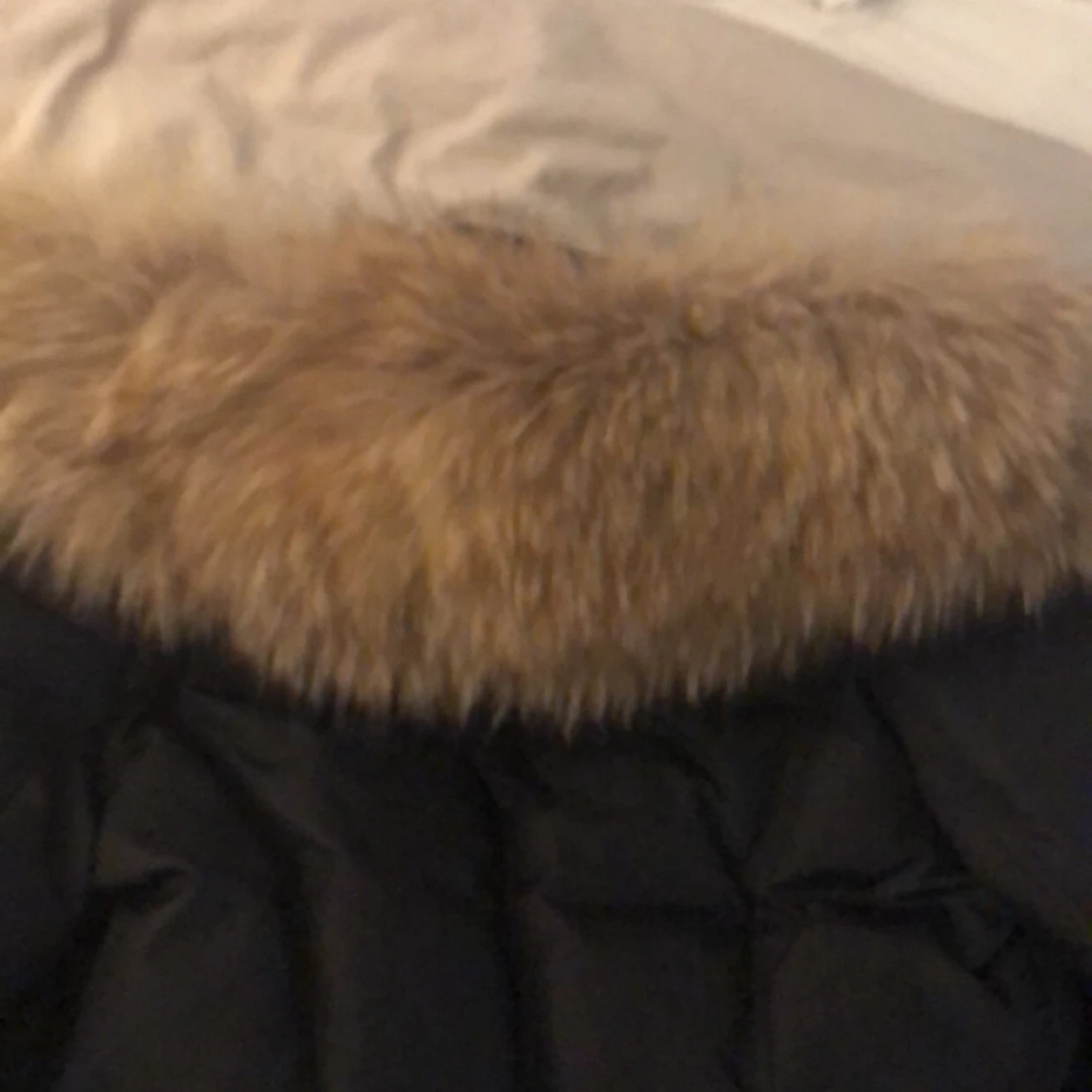 Hollies Livingo (använd fåtal ggr) - 90