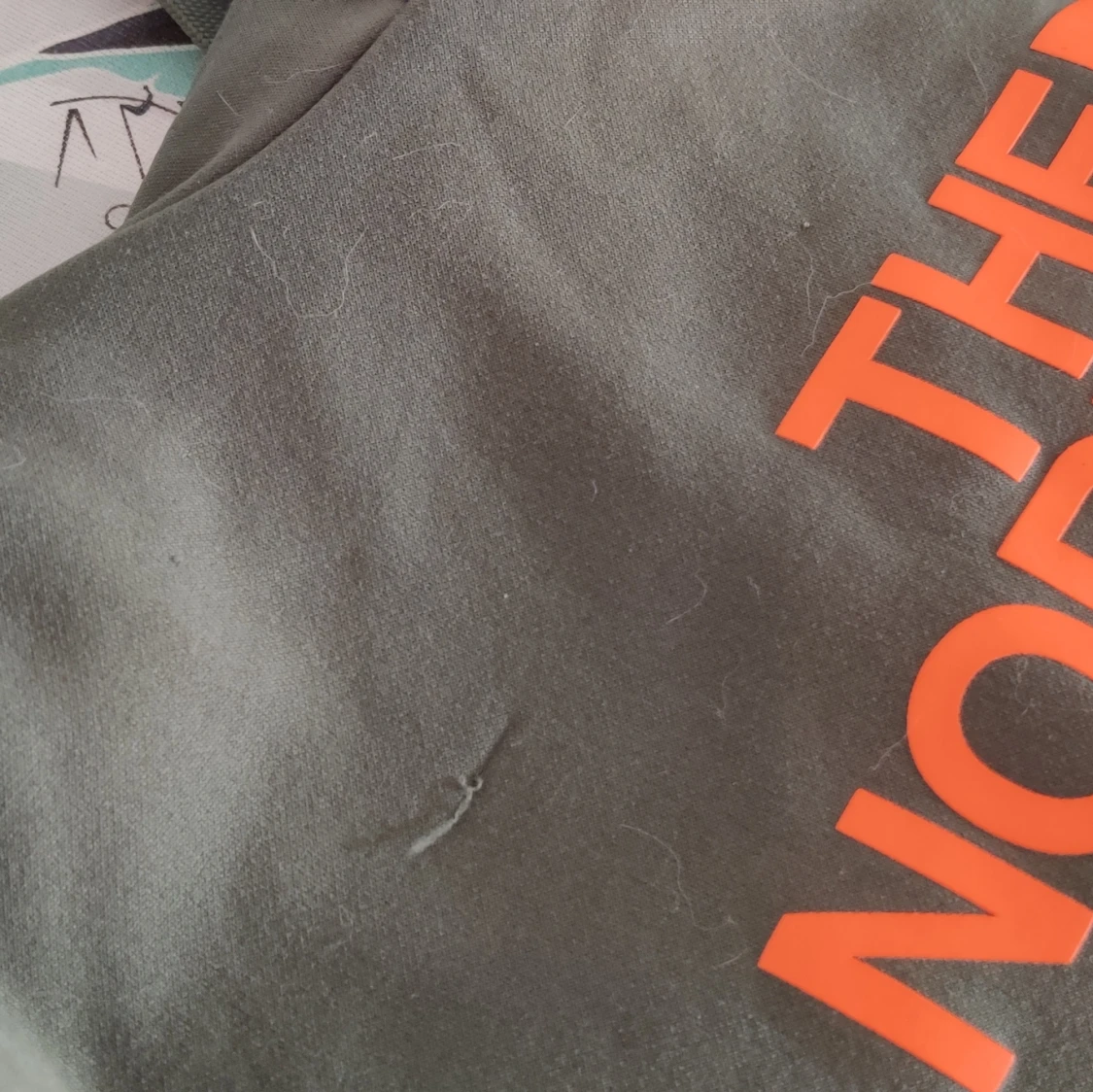 The North face hoodie - 91