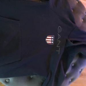 Gant hoodie - Storlek 158/164 men passar mig som har small, fint skick