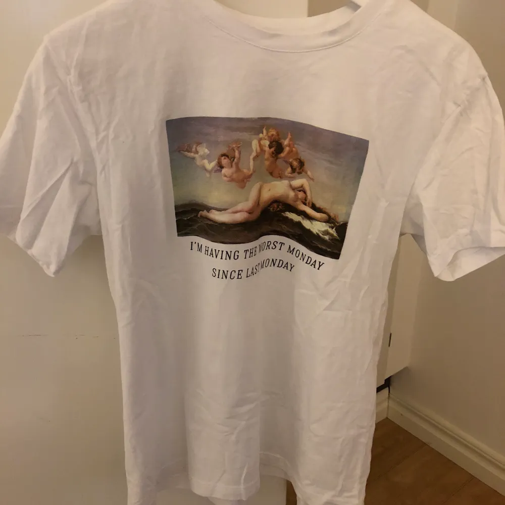 T-shirt med coolt tryck köpt på Zalando 🧚🏼‍♀️🧚🏼 Använd max 3 gånger - säljer pga inte min stil! Köparen står för frakten - 44kr.. T-shirts.