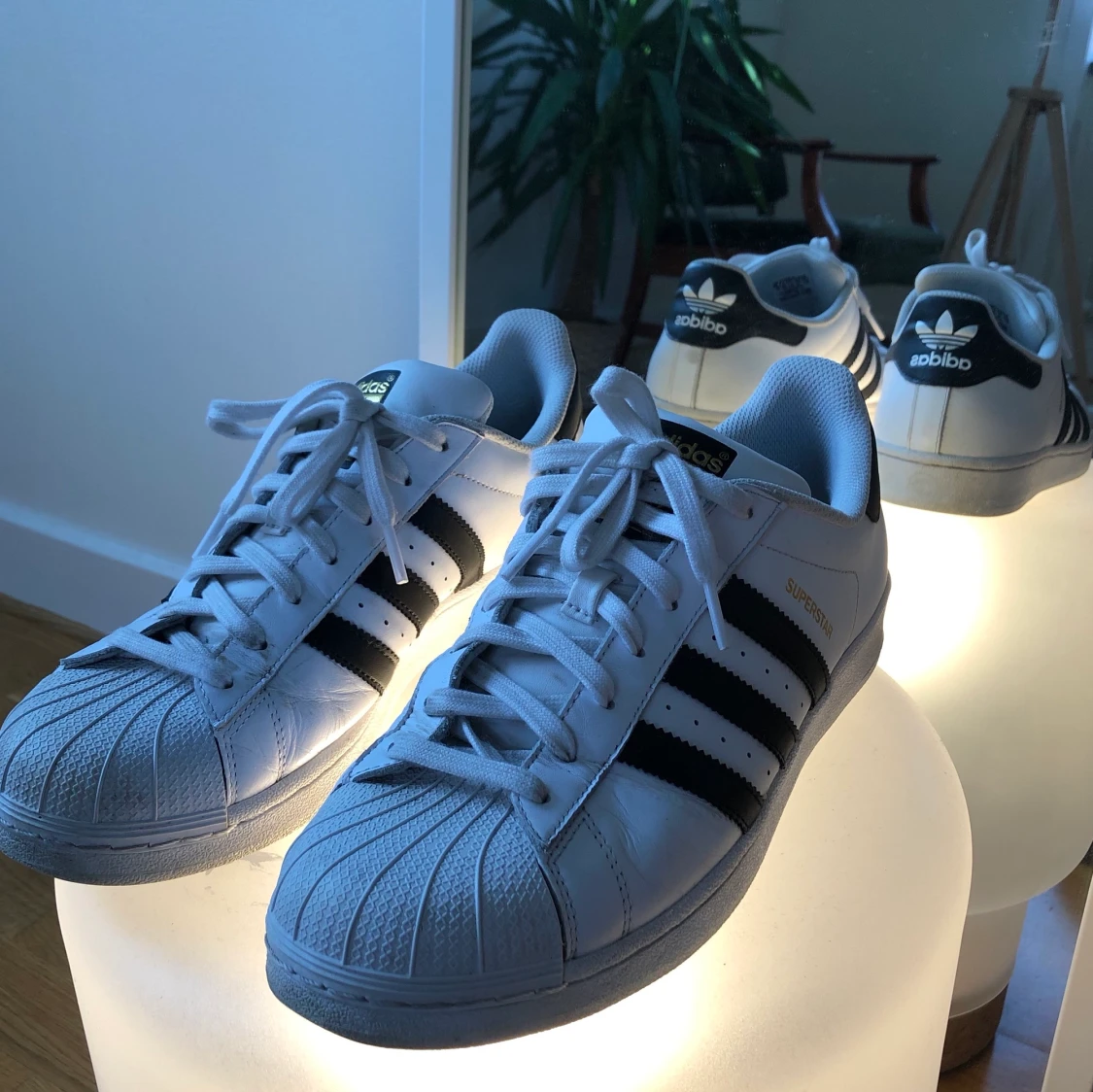 Adidas superstar skor