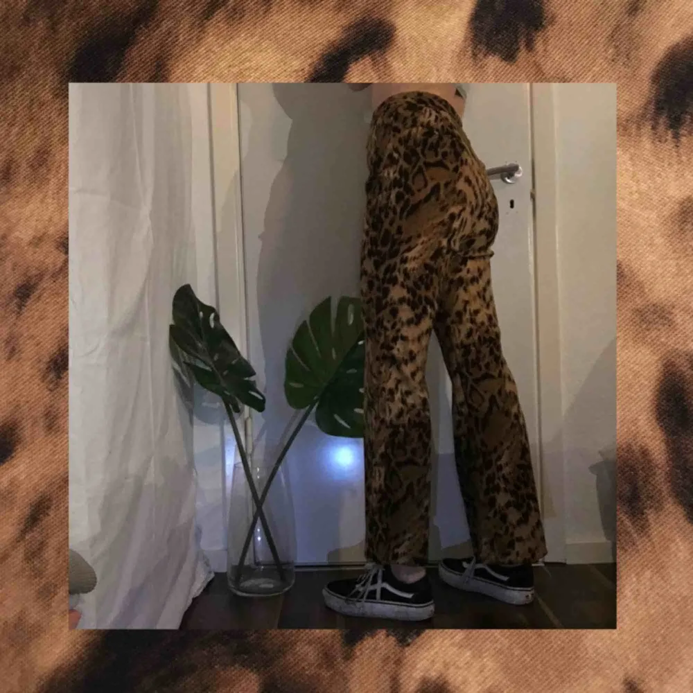 Kostymbyxor med leopardmönster. Aningen vida ner till, väldigt mjukt och bekvämt tyg, sitter såhär på mig som är 166cm lång. FRAKT INGÅR I PRISET ❤️. Jeans & Byxor.