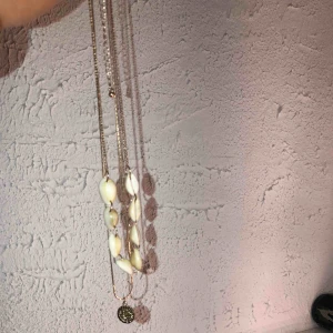  - Säljer detta halsband som jag köpte i somras! Det är ett Snäck halsband med en guldkedja som sitter ihop!🥰