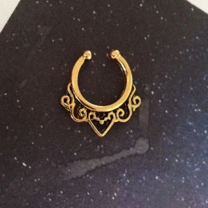  - Septum. Näsring. Oanvänd