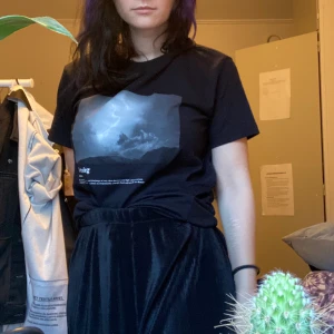 tshirt med blixtoväder  - helt ny tshirt i skönt material. samfraktar vid köp av flera saker. strl s