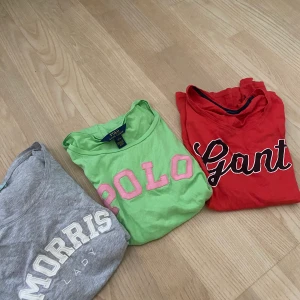 Märkes T-shirts - Gant storlek 158-164 motsvarar XS/S ▪️Ralph Lauren barnstolek L motsvarar XS/S ▪️Morris storlek XS ▪️90kr/st eller 200kr för alla▪️Köparen står för eventuell tilläggning av frakt