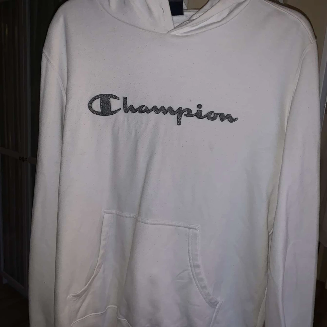 Champion hoodie