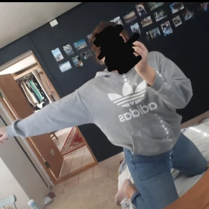  - "Oversize trefoil hoodie", knappt använd och kostade 800 kr