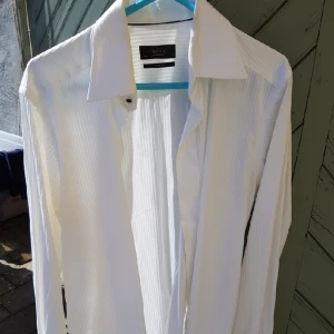  - Skjortor i jättebra skick.  250 st.