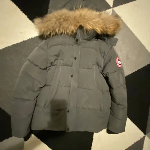 Grå dunjacka från Canada Goose - Säljer en grå dunjacka från Canada Goose med pälskantad huva. Jackan har en broderad logotyp på ärmen och stängs med dragkedja och knappar. Perfekt för kalla vinterdagar.PRIS KAN DIKUTERAS.