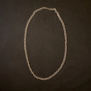 Schysst halsband - "Silver"halsband med lite större länker. Silver i citat eftersom att jag inte vet vad materialet är, men det är silverfärgat.