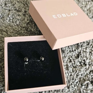 Örhängen  - Du får med ett rabdol smycket på varje köp skickar inom 24 h 