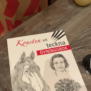 Konsten att teckna: Övningsbok - Säljer en övningsbok för att lära sig teckna. Boken innehåller steg-för-steg-instruktioner för att rita olika motiv som hästar, landskap och porträtt. Perfekt för både nybörjare och mer erfarna tecknare som vill förbättra sina färdigheter.