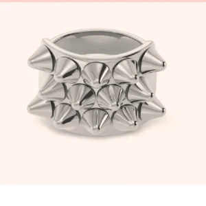 Silver ring edblad - Jag undrar om någon skulle vilja byta min silvriga edbladring i storlek 16,80 mot en guldring i storlek 16,80. Om någon är intresserad medela gärna mig!!🌸