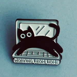 Kattpin  - En sökt kattpin. Hämtas i Hornstull i Stockholm eller skickas mot fraktkostnad. 🐈‍⬛