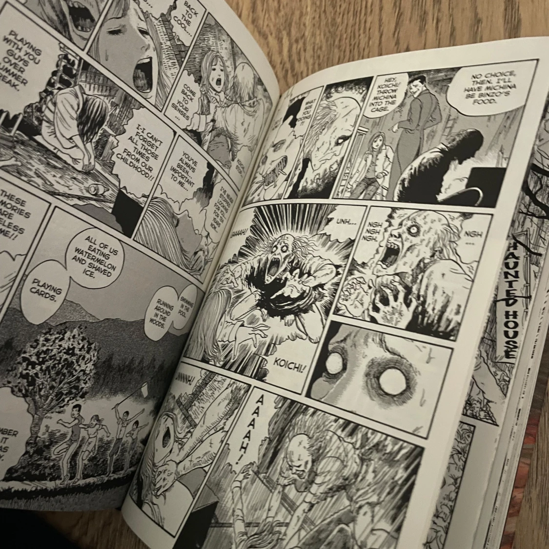 Smashed: Junji Ito Story Collection - 2