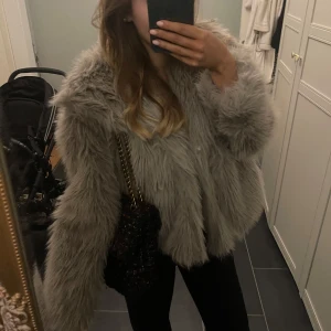 Grå pälsjacka  - Grå pälsjacka 