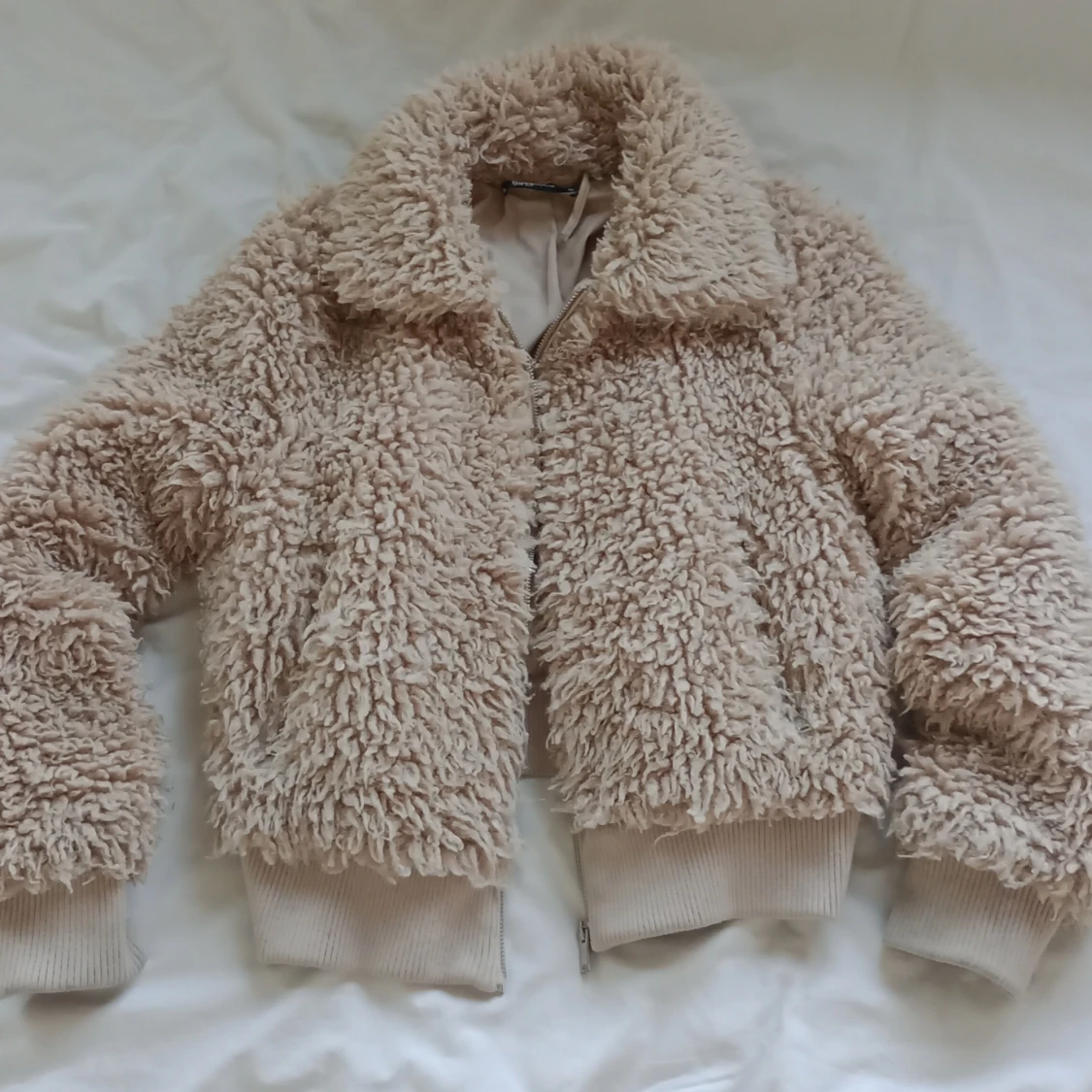 Teddy jacka  - 91