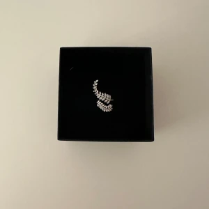 Ring - Silverring