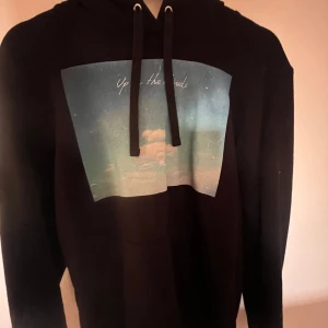 Hoodie från The cool Elephant - Hoodie med tryck från The Cool Elephant. Mycket bra skick.