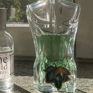 JPG paradise garden  - JPG paradise garden halva kvar