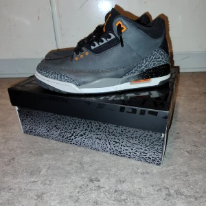 Jordan 3 - Jordan 3 fear "2023" endast testade säljer då jag har behov av pengar köpta på GOAT. Pris kan diskuteras vid snabb affär fraktas inom 1 dag. Skriv vid minsta lila tanke kan skicka fler bilder