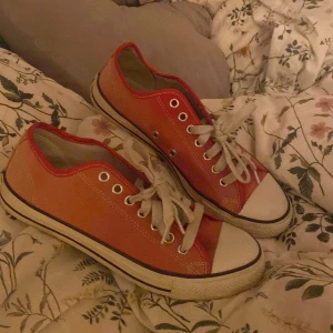 Fejk converese  - Använd  två gånger. Lite fläckar, köpta solblekta. Köparen står för frakten❤️