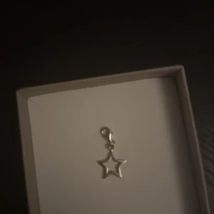Silverfärgad stjärnberlock - Snygg silverfärgad berlock i form av en stjärna. Perfekt att fästa på ett armband eller halsband. Köpt för 249kr. Pris kan diskuteras.