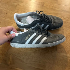 Gazelle 44 - Kvaliteten är på bilderna