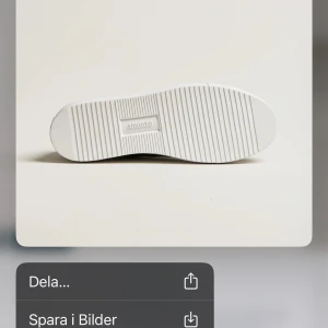 Arigstos skor män - Använd en gång srlk:47.5