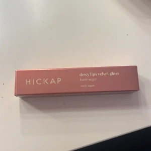 Lip gloss - Säljer denna som är helt ny och inte andvänd. 💕i färgen brunt suger 