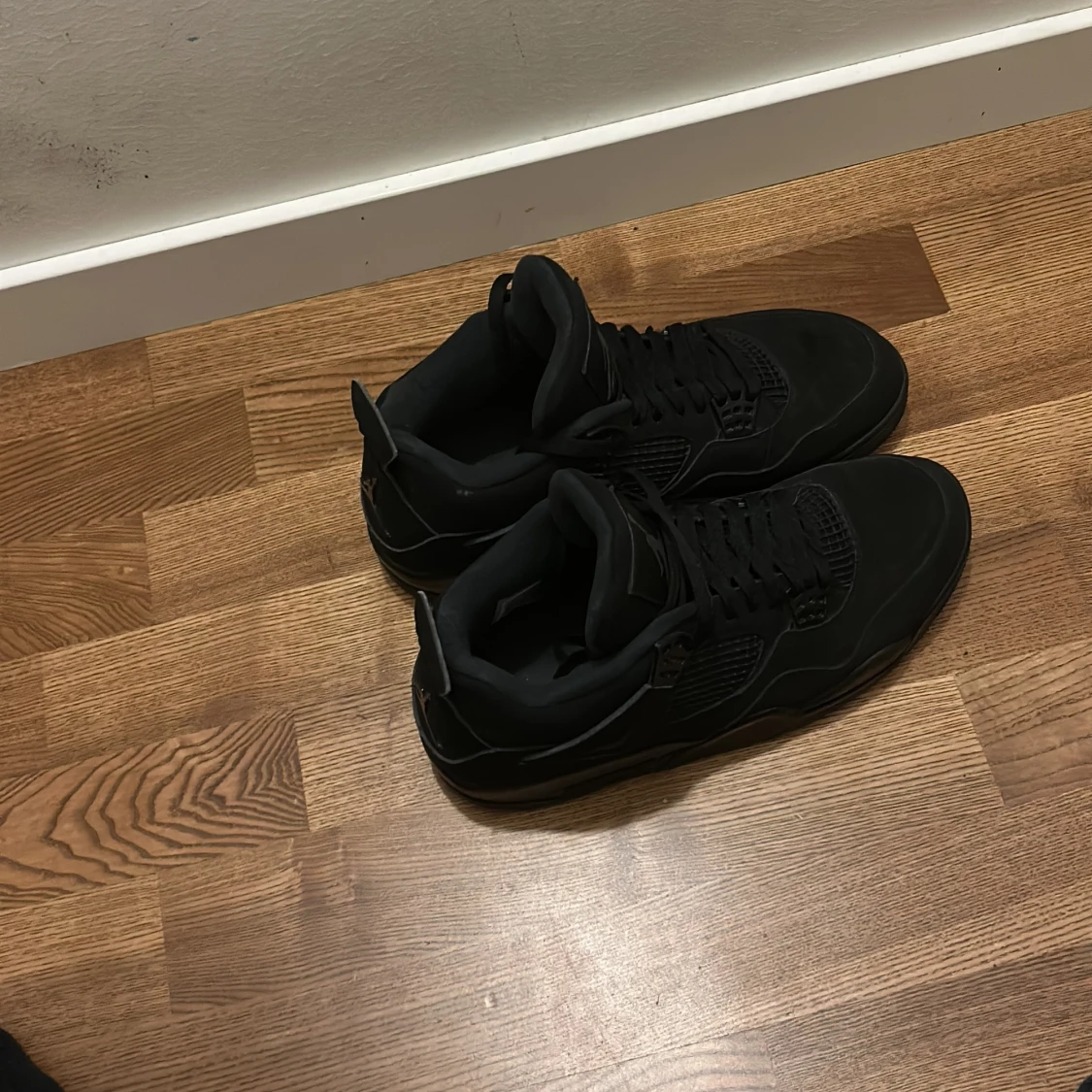 Jordan 4 black cats