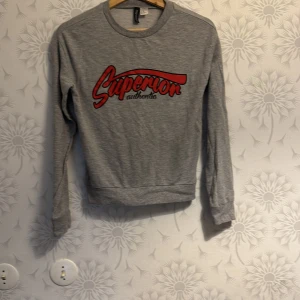 Grå sweatshirt från H&M Divided - Säljer en grå sweatshirt från H&M Divided med röd och svart text 'Superior authentic' på framsidan. Tröjan har långa ärmar och en rund halsringning. Perfekt för en avslappnad stil.