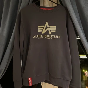 Svart tröja från Alpha Industries - Säljer en svart tröja från Alpha Industries med deras ikoniska logga på bröstet. Tröjan har storlek M    Ny pris 700kr mitt pris 400kr 9/10 skick.  Pris kan diskuteras!