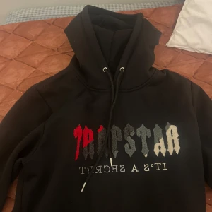 Trapstsr - Skön och fin Trapstar Hoodie använt några gånger liten på mig därför säljer jag den nu. 