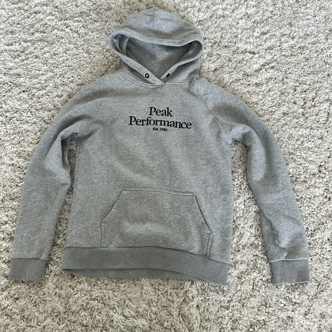 Peak Performance Hoodie