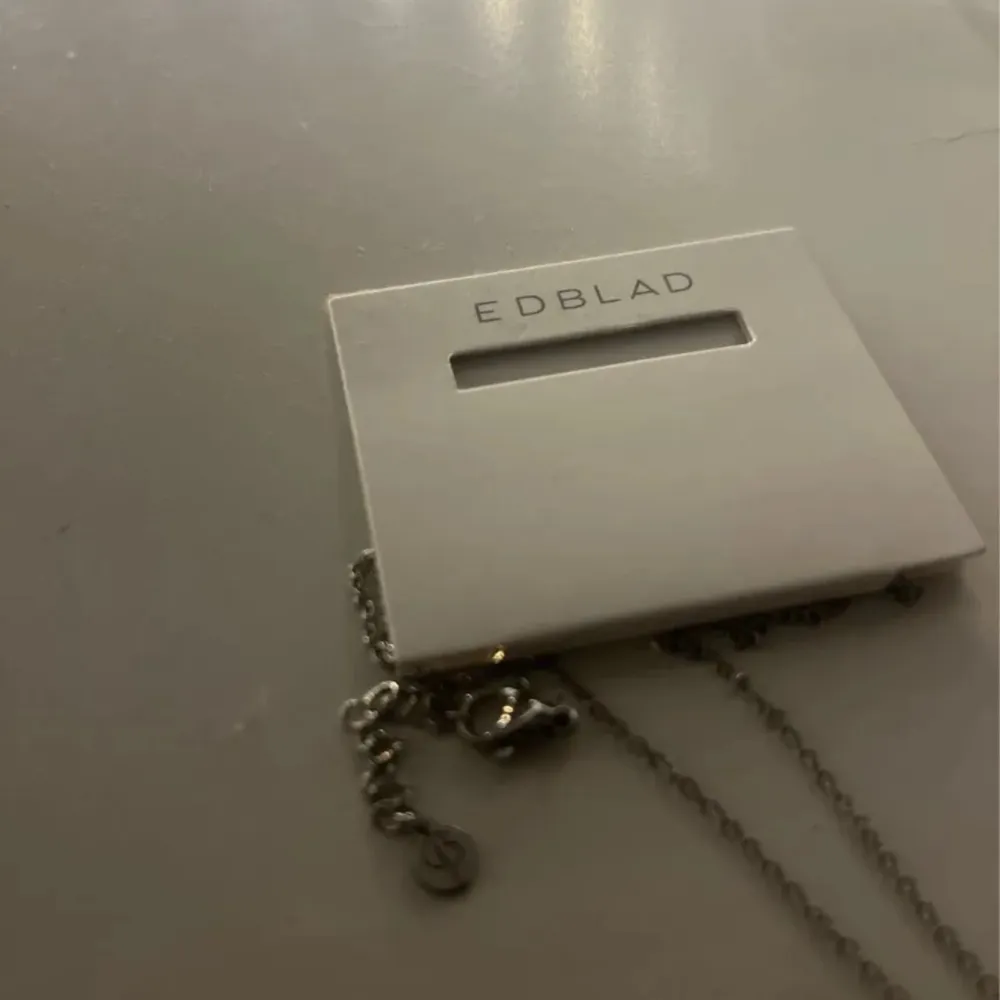 jätte snyggt edblad halsband i silver! säljer då ja fått det i present men i fel färg så den är aldrig använd🤩. Accessoarer.