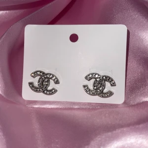 Örhängen  - Rostfritt stål helt nya