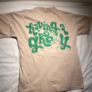 Beige t-shirt med grönt tryck - Säljer en beige t-shirt med grönt tryck 'having a gravy' på baksidan och 'gravy' på framsidan. Det är egentligen en oversized t-shirt för unga men kan användas som en helt vanlig t-shirt också! 