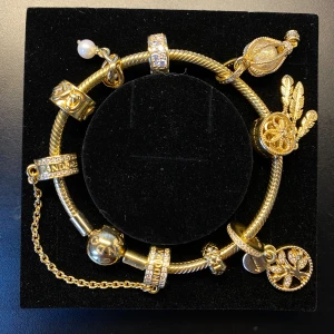 Pandora guld armband - Pandora berlock armband i guld. Armbandet och berlockerna är pläterade i 14 karat guld. Allt köpt för ca 7500 kr kvitto finns samt orderbekräftelse för två av berlockerna som är köpta från pandoras officiella hemsida. Endast fåtal gånger använd :)