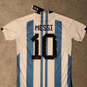 Vit och blå randig fotbollströja från Adidas - Säljer en vit och blå randig fotbollströja från Adidas med nummer 10 och namn på ryggen. Tröjan har korta ärmar och ett emblem på bröstet. Perfekt för fotbollsfans!